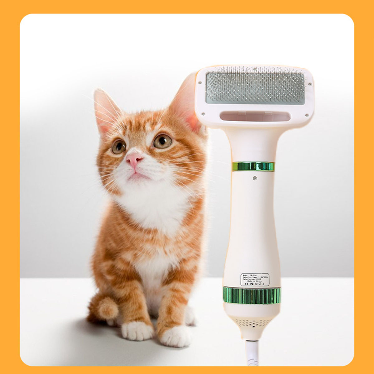Orangefarbenes Tabby-Kätzchen, das mit einem weißen und grünen Tierhaartrockner gepflegt wird.