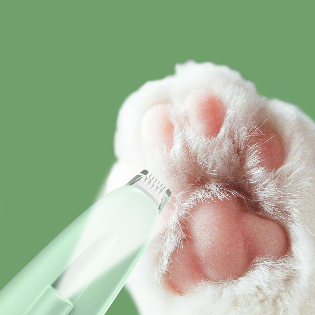 Eine weiße Katzenpfote wird mit einem grünen Haustierpflegegerät getrimmt.