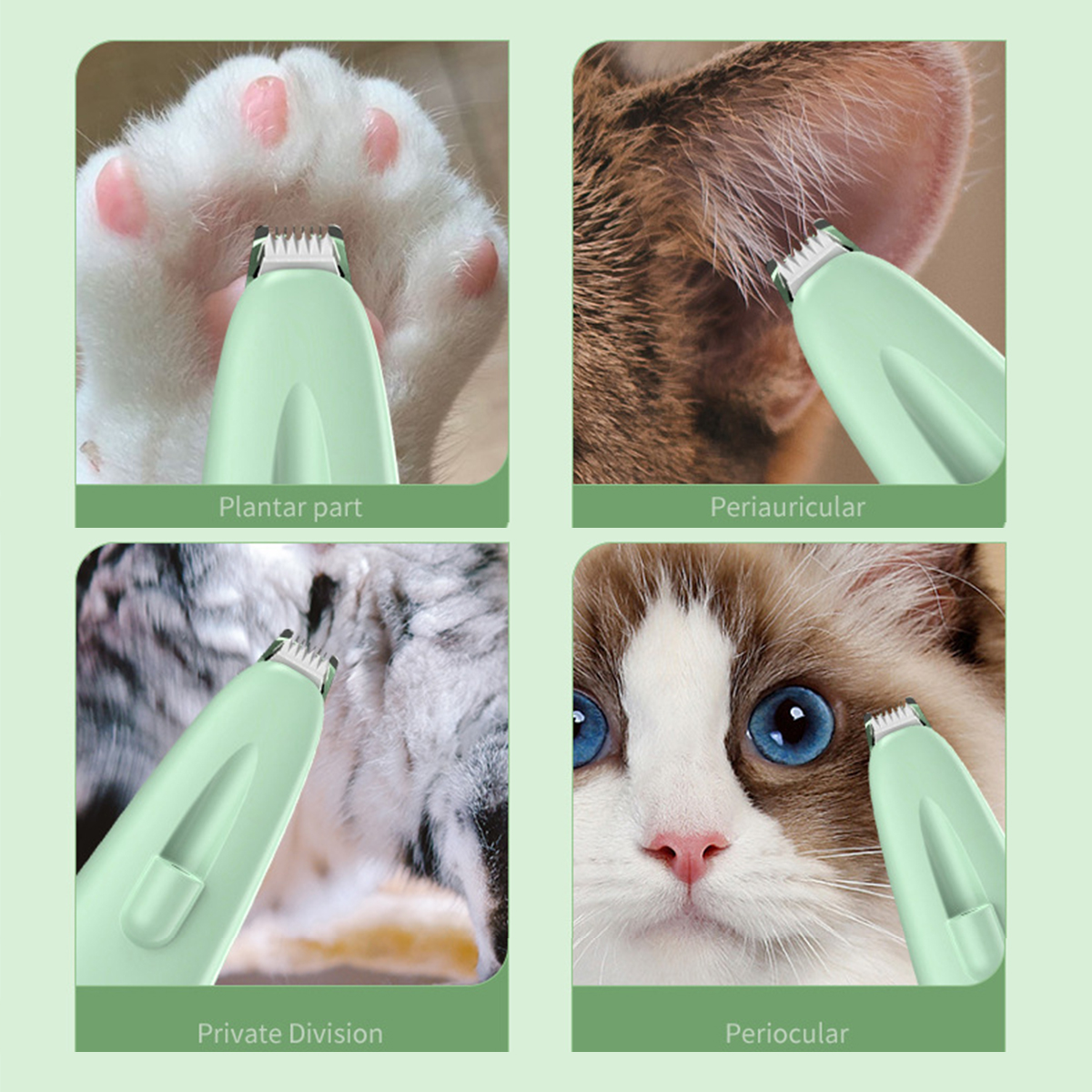 Nahaufnahme einer Katze, die mit einem grünen Haarschneider getrimmt wird, zeigt Pfote und Ohr.