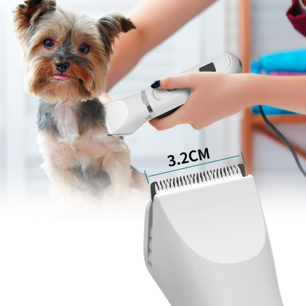 Eine Person pflegt einen kleinen Hund mit einem Clipper. Die Clipper sind weiß, der Hund ist ein Yorkie.