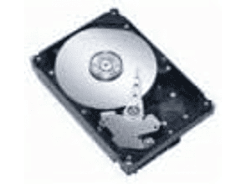 COREPARTS SA600005I837, 600 GB, HDD, 3,5 Zoll, intern