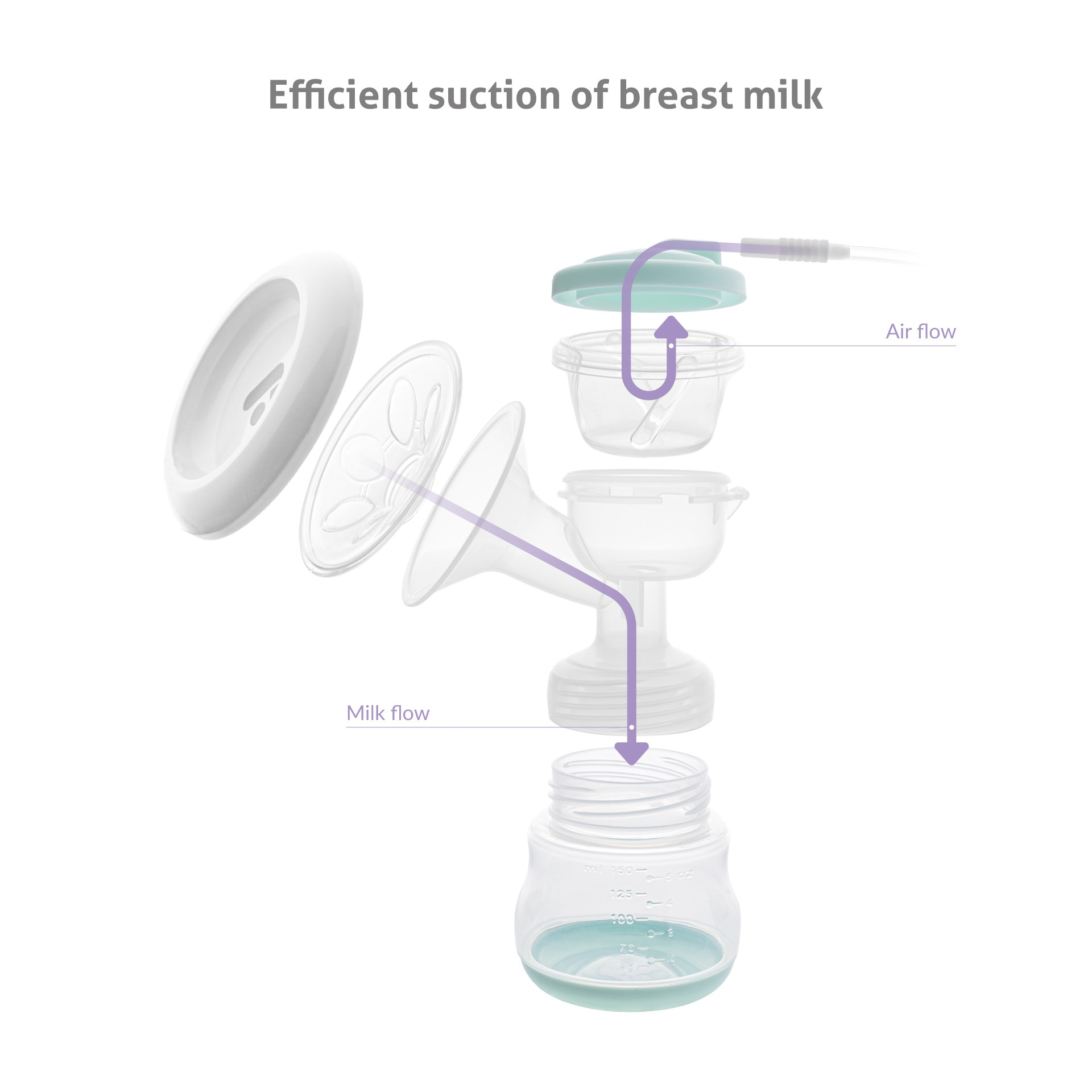 Diagramm einer Brustpumpe, das Komponenten und Milch-/Luftflusswege auf weißem Hintergrund zeigt.