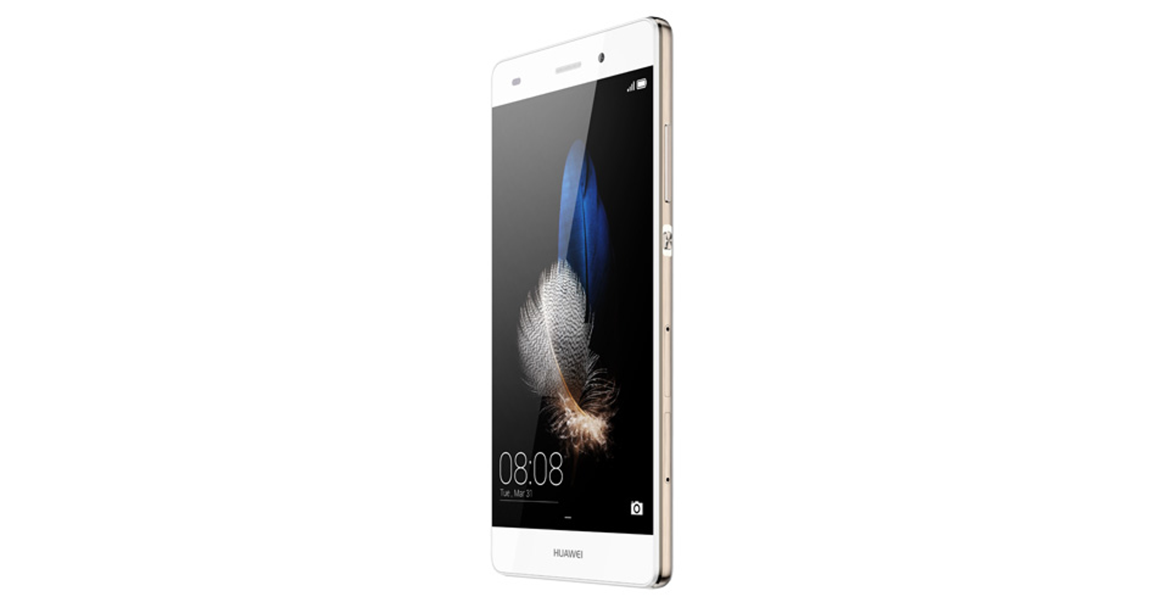 Ein weißes Smartphone mit goldenem Rahmen. Der Bildschirm zeigt ein blaues Federbild.