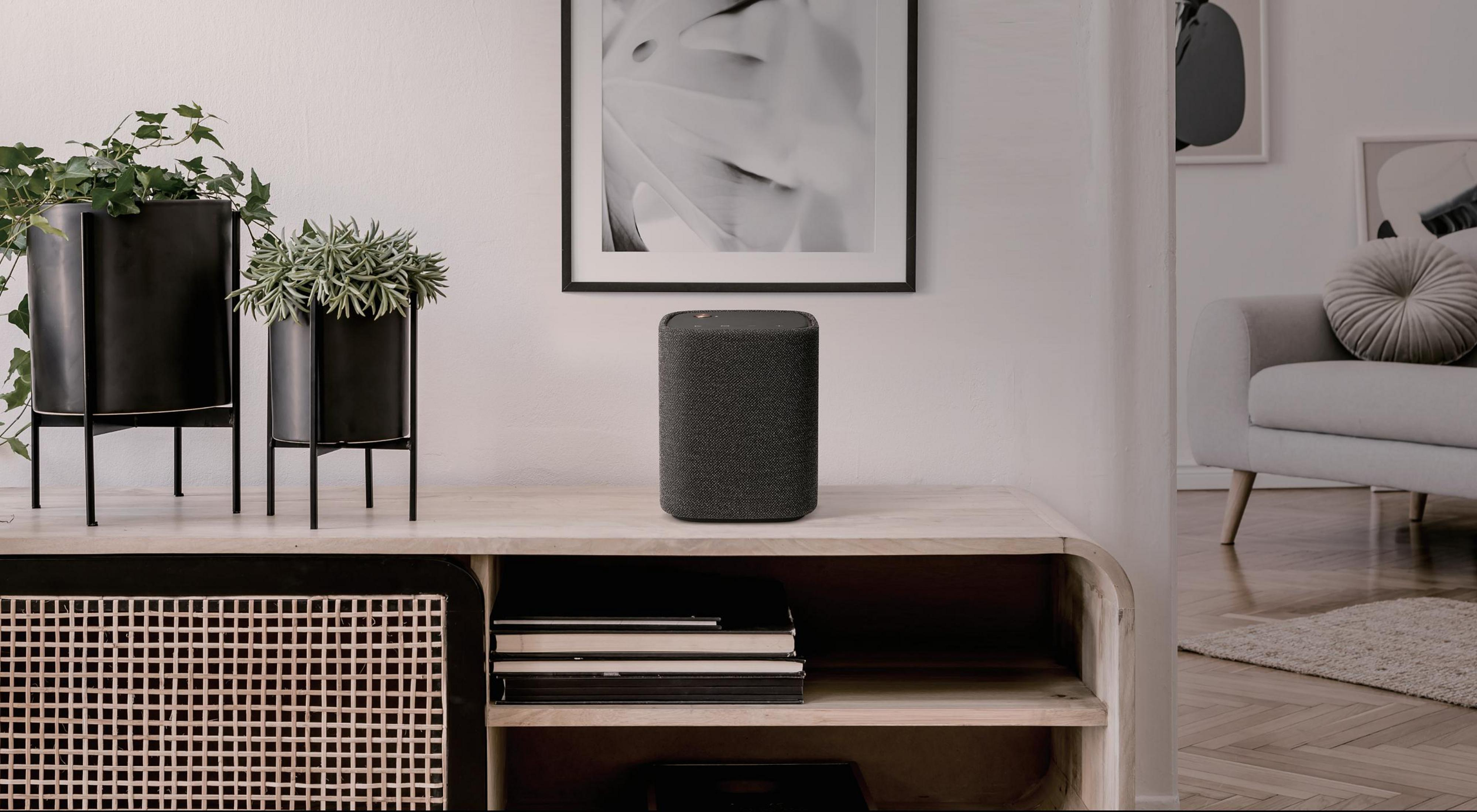 Głośnik na drewnianej półce, rośliny w czarnych donicach i obrazy w ramkach na ścianie.