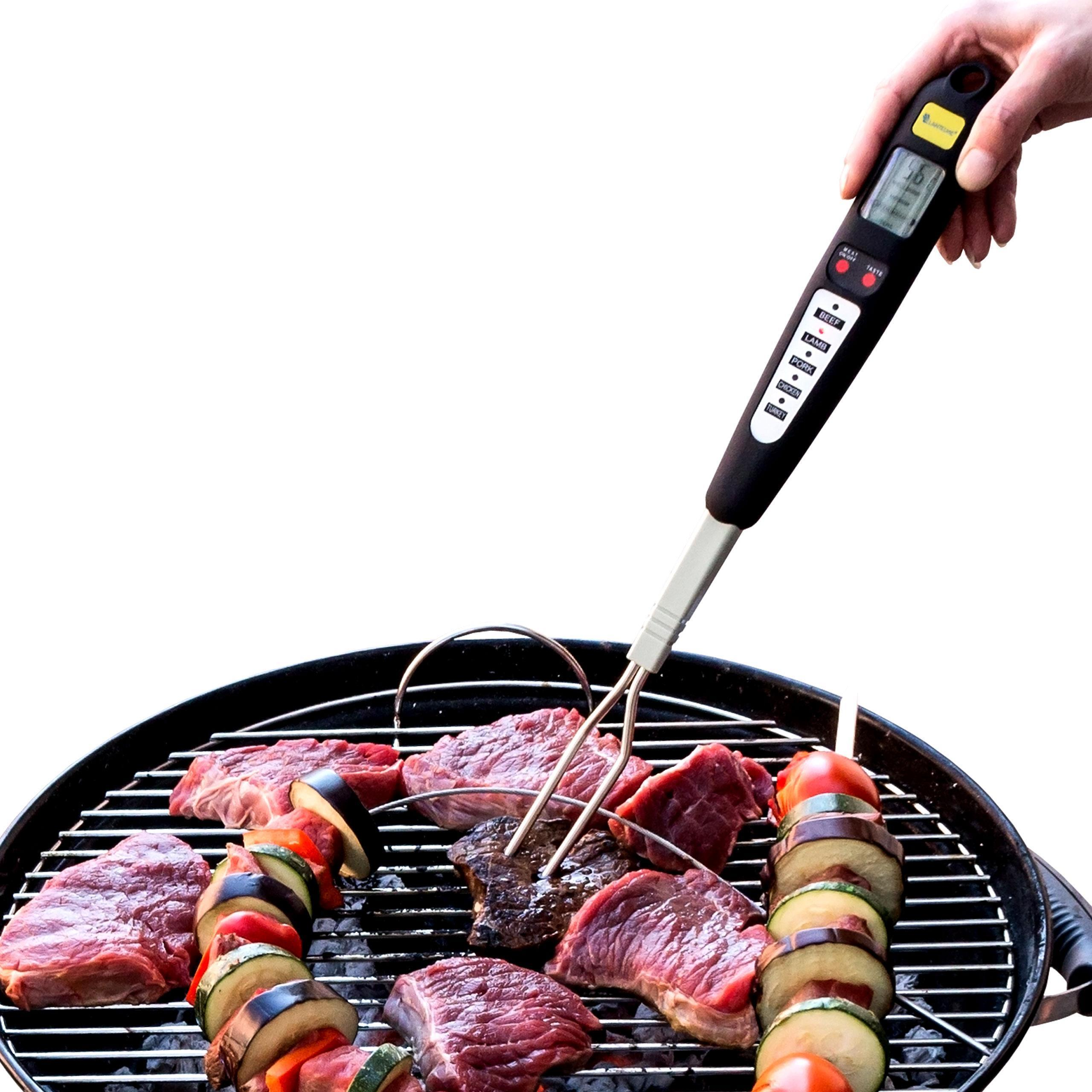 Eine Person hält ein schwarzes Fleischthermometer über einem Grill mit Fleisch und Gemüse. Weißer Hintergrund.