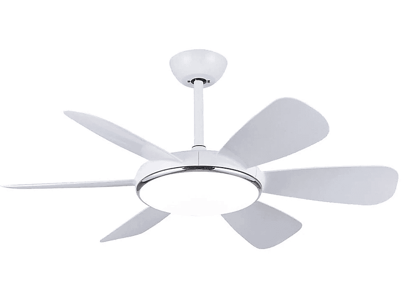 Ventilador de techo – FM 8427561023323