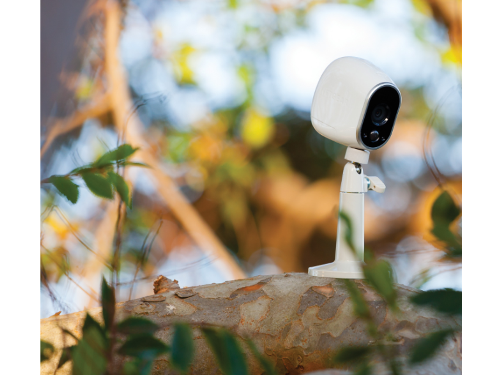 Telecamera di sicurezza bianca su un ramo, foglie in primo piano e sfondo sfocato.