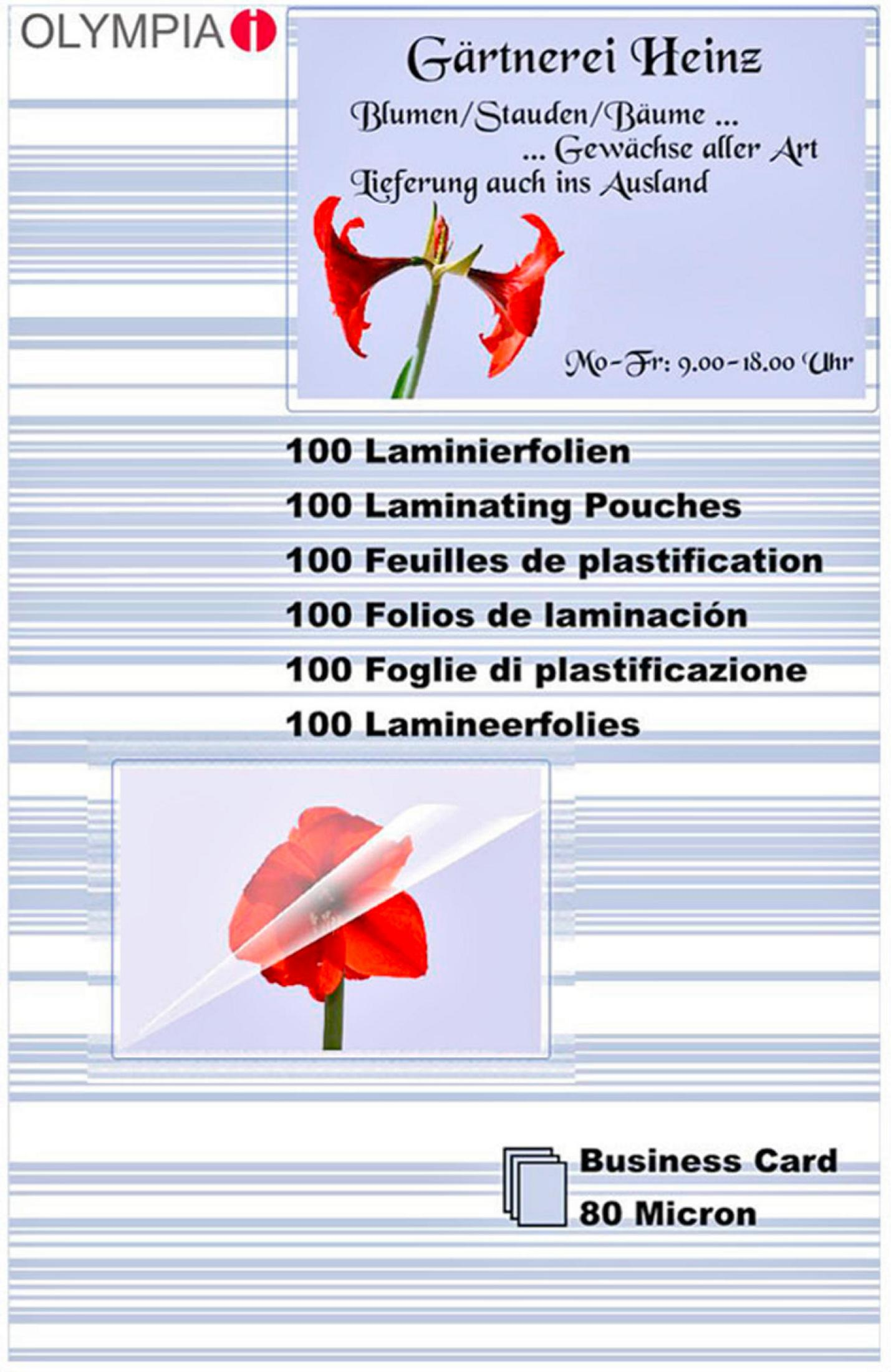 Schild für ein Blumengeschäft, 'Gärtnerei Heinz', mit Blumenbild und Text auf Deutsch. Enthält Geschäftsinformationen.