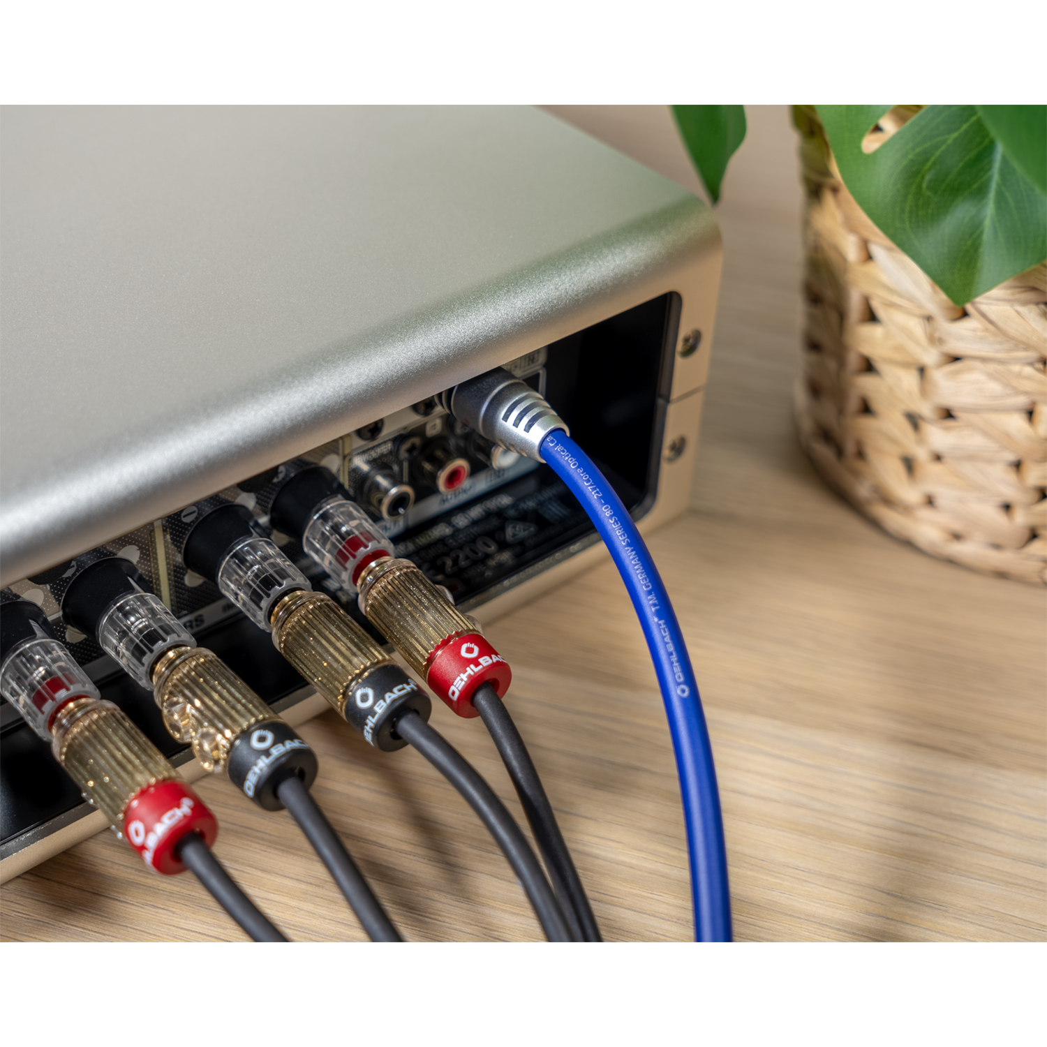 Gros plan sur des câbles audio branchés sur un appareil. Les câbles sont noirs et dorés, avec un câble bleu.