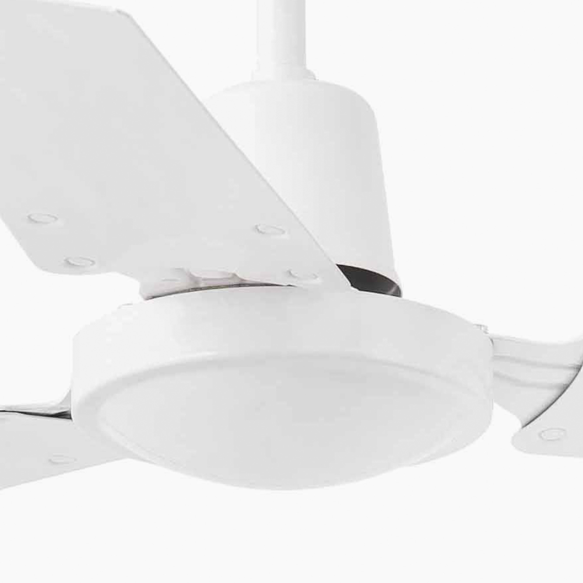 Un primo piano di un ventilatore da soffitto bianco con tre pale e una parte centrale bianca.