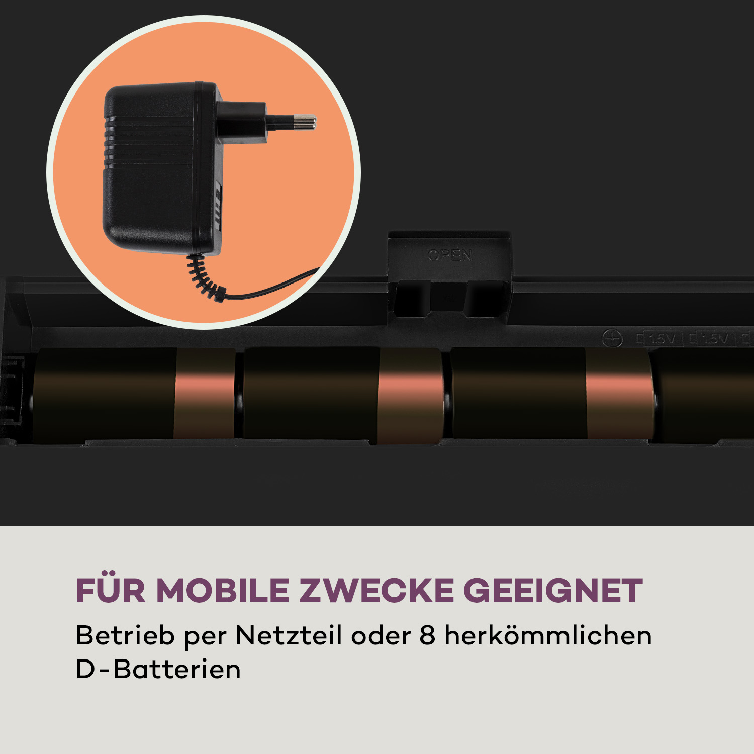 Ein schwarzer Netzadapter und Batterien in einem Gehäuse. Text auf Deutsch. Der Hintergrund ist weiß.