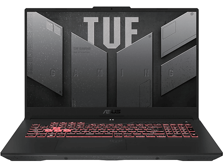 ASUS TUF \'A17\', fertig eingerichtet, Office 2021 Pro, Notebook mit 17,3 Zoll Display, AMD, 64 GB RAM, 500 GB SSD, Grau