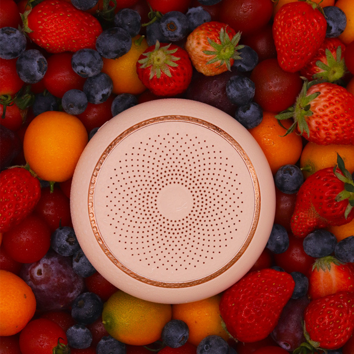 Ein hellrosa Lautsprecher, umgeben von Erdbeeren, Blaubeeren und Orangen.