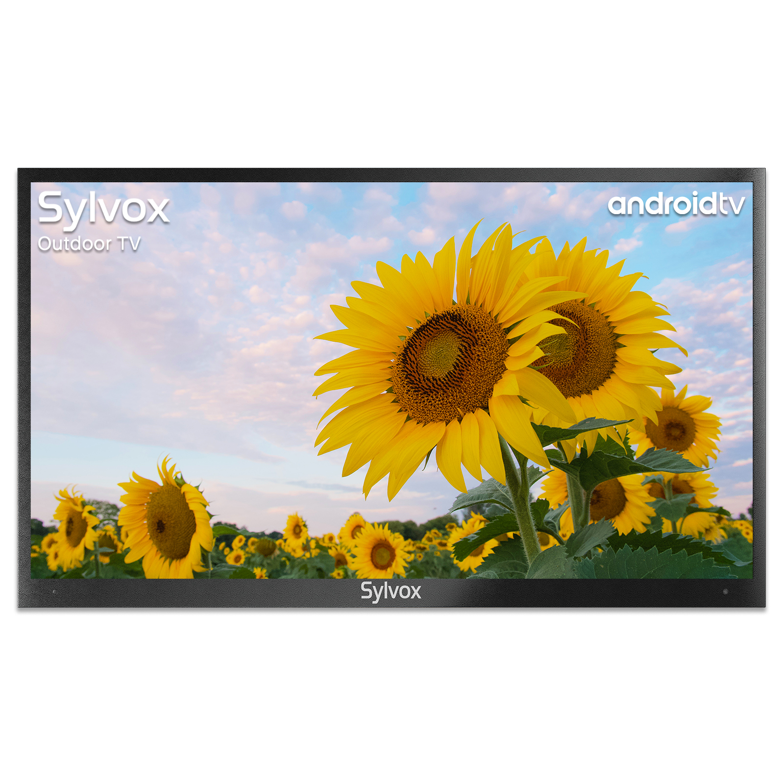 SYLVOX 65 Zoll Outdoor TV TV) 165,1 OT65A2KEGC-EU cm, Zoll SMART Deck TV / 65 1000nit HDR pro (Flat, 4K