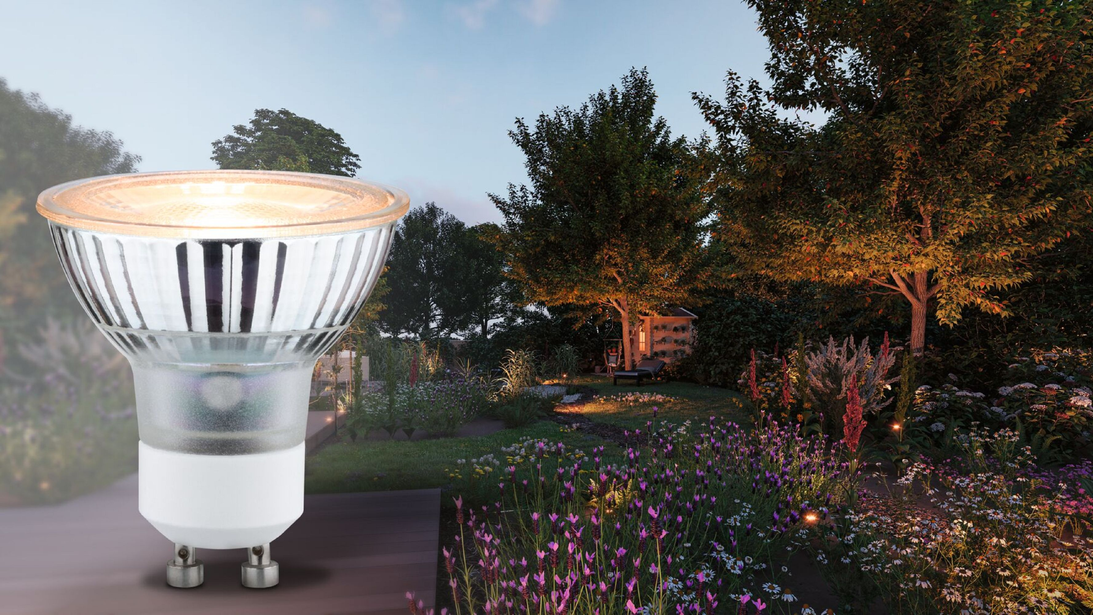 Primo piano di lampadina in una scena di giardino con alberi e fiori, illuminata dalla luce serale.