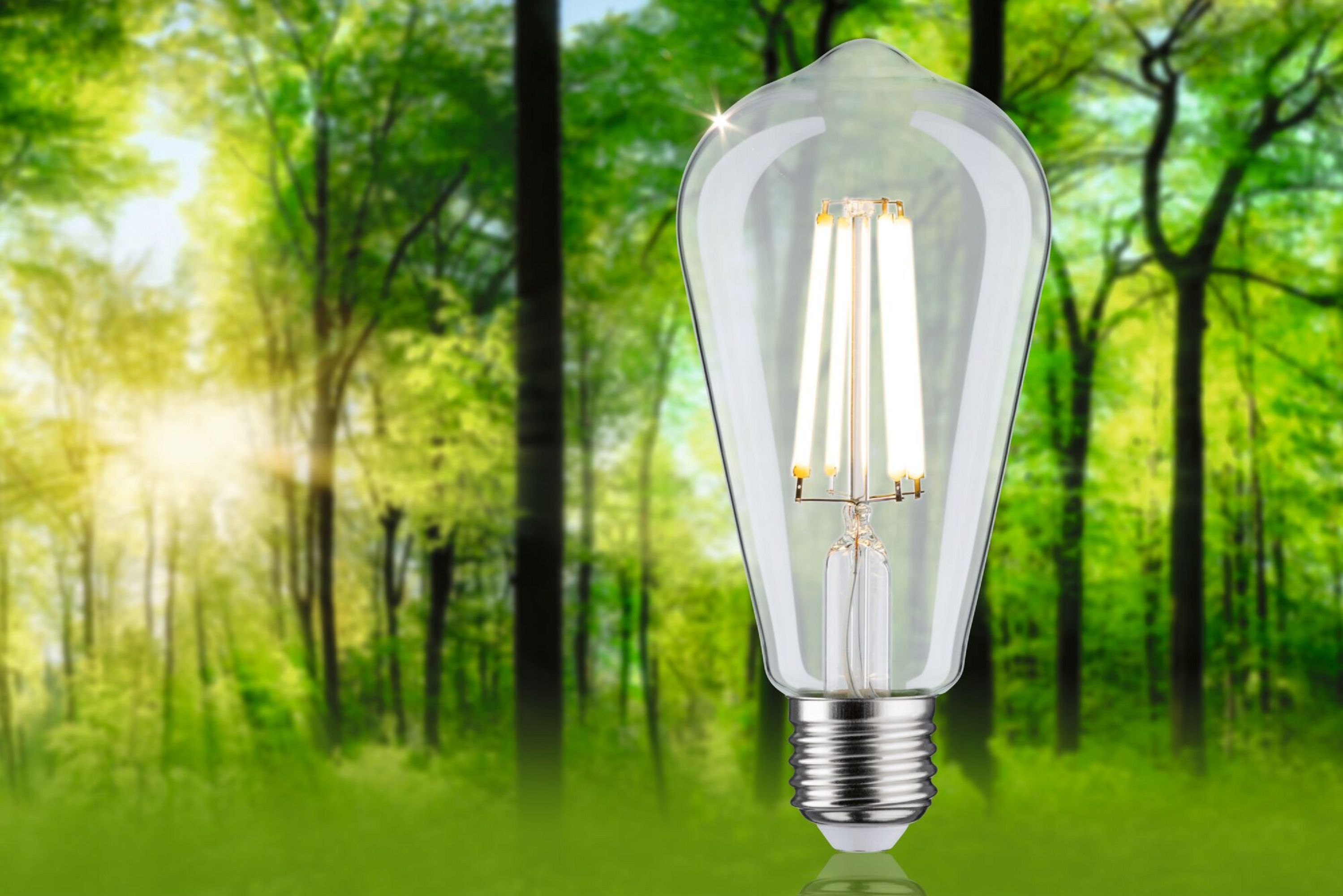 PAULMANN LICHT Filament (29122) Eco-Line Universalweiß LED