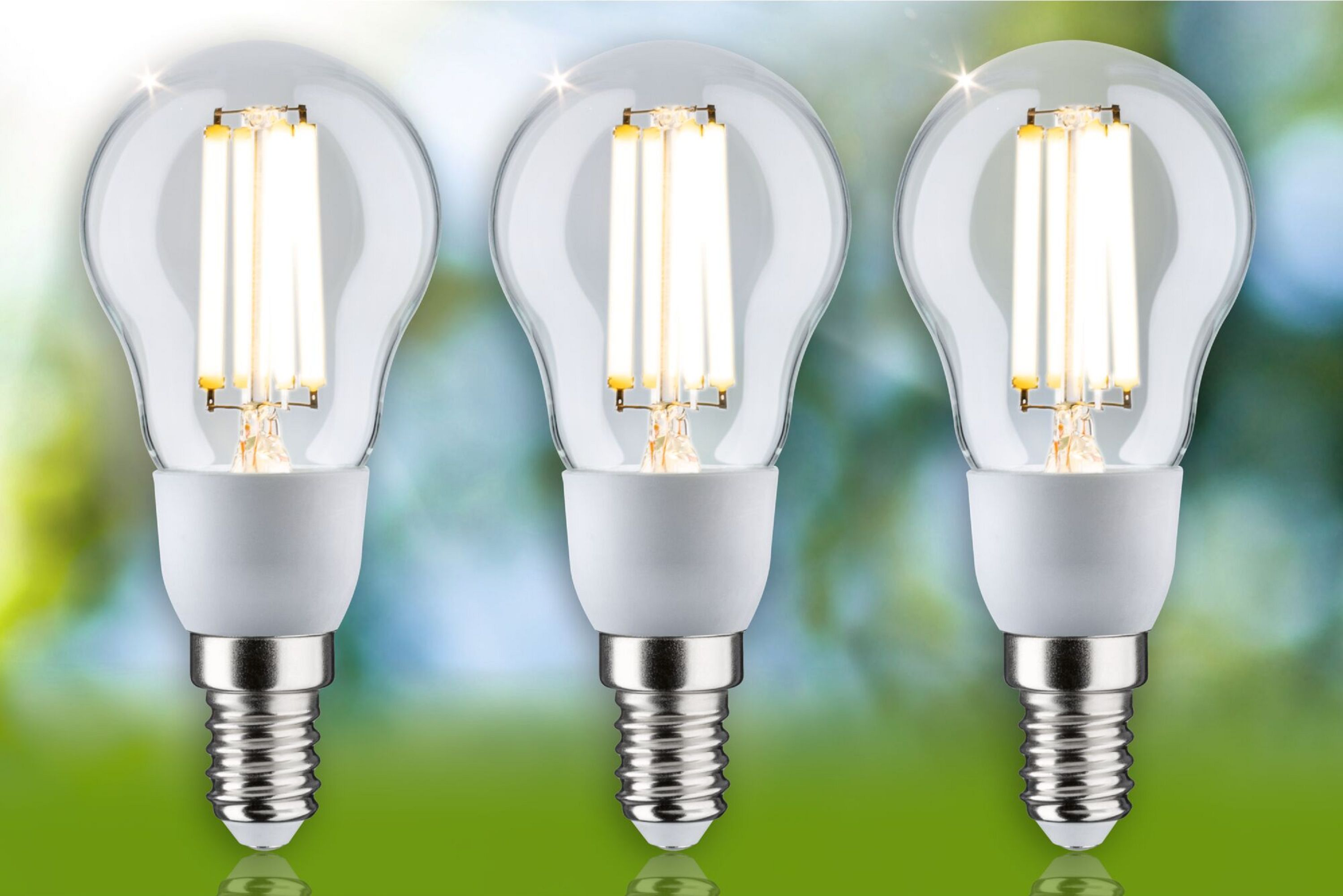 Drei LED-Glühbirnen. Klares Glas, weißer Sockel, auf verschwommenem grün-weißem Hintergrund.