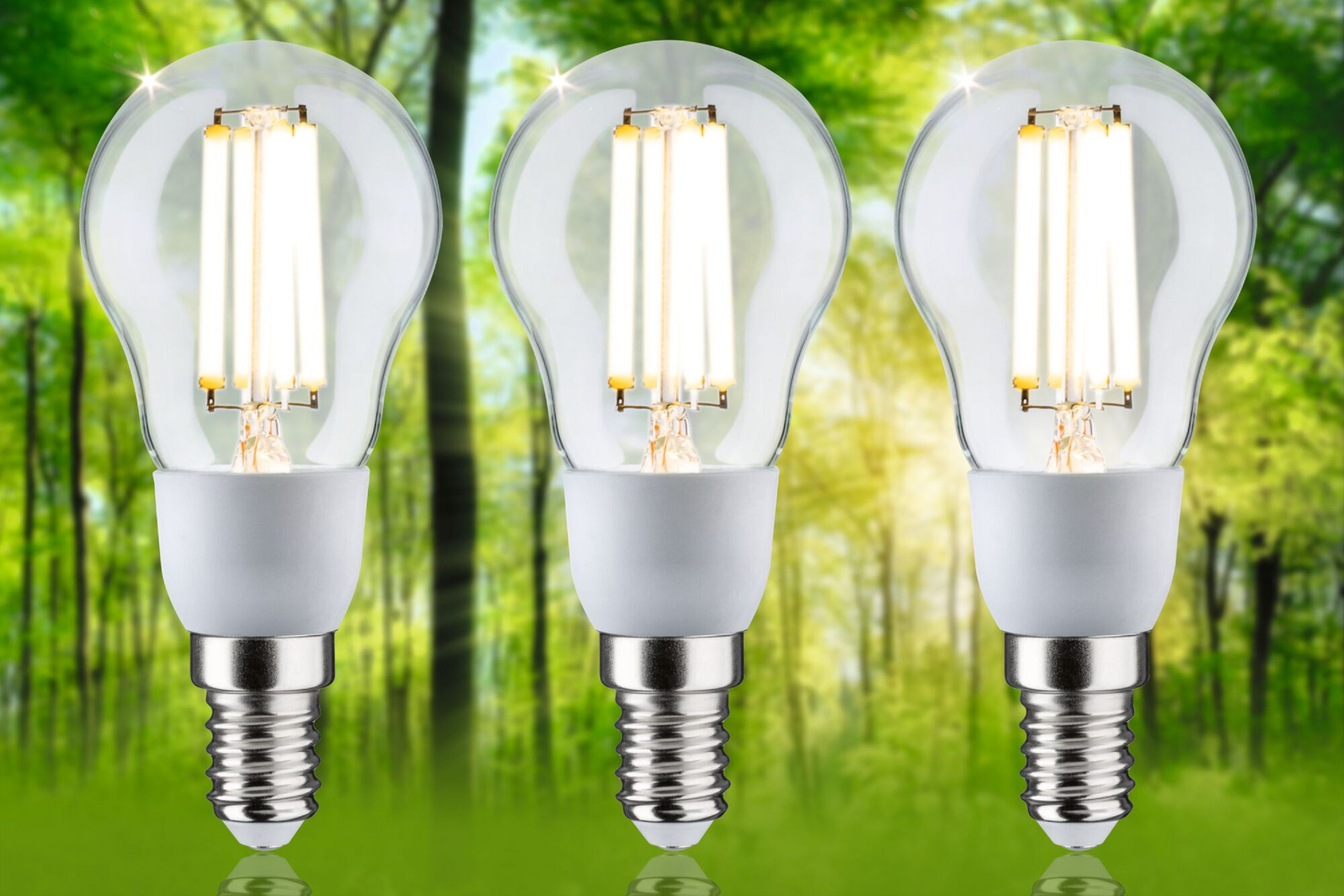 Drei beleuchtete LED-Glühbirnen mit Waldboden im Hintergrund.