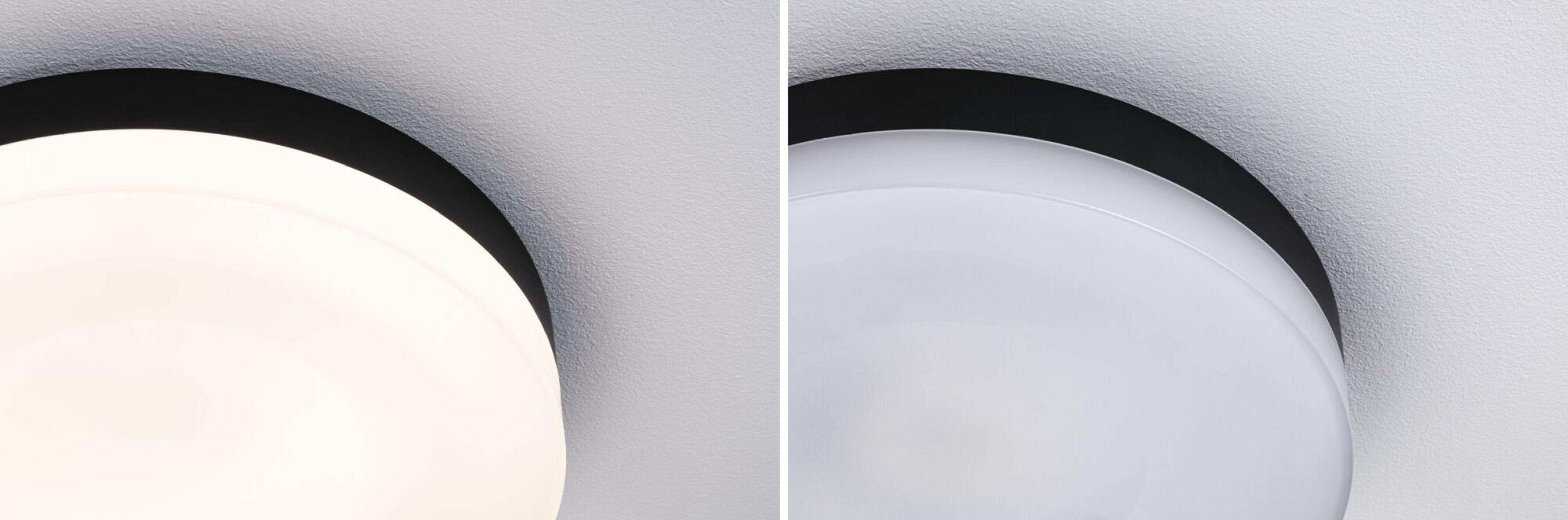 Dwie żarówki z białym i czarnym okręgiem obok siebie. Tło jest białe.