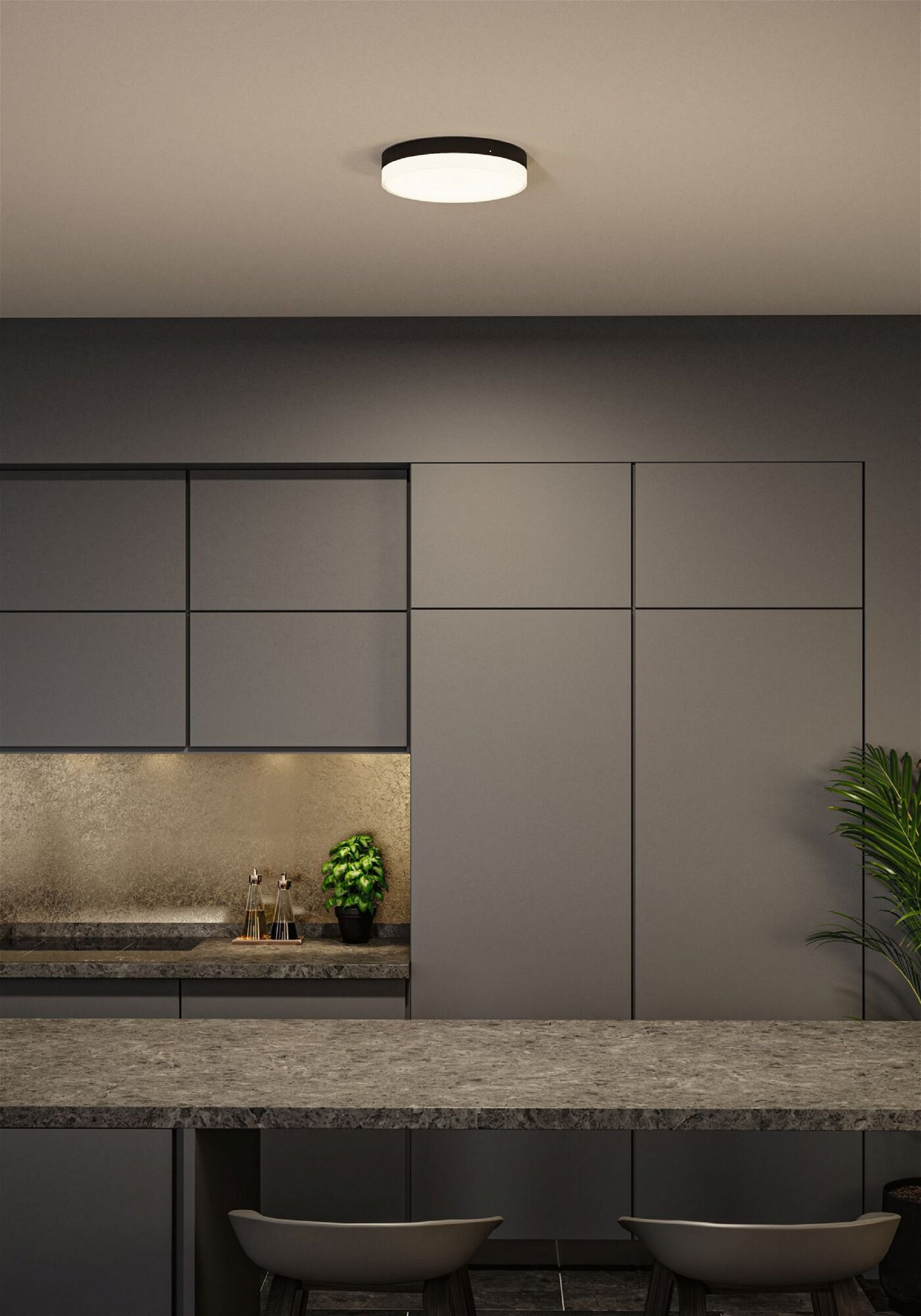 Nowoczesne wnętrze kuchni z lampą sufitową, szafkami, blatem i małą rośliną.