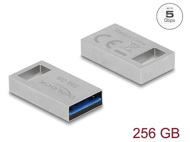 DELOCK 54006 USB Stick 256 GB) (Silber