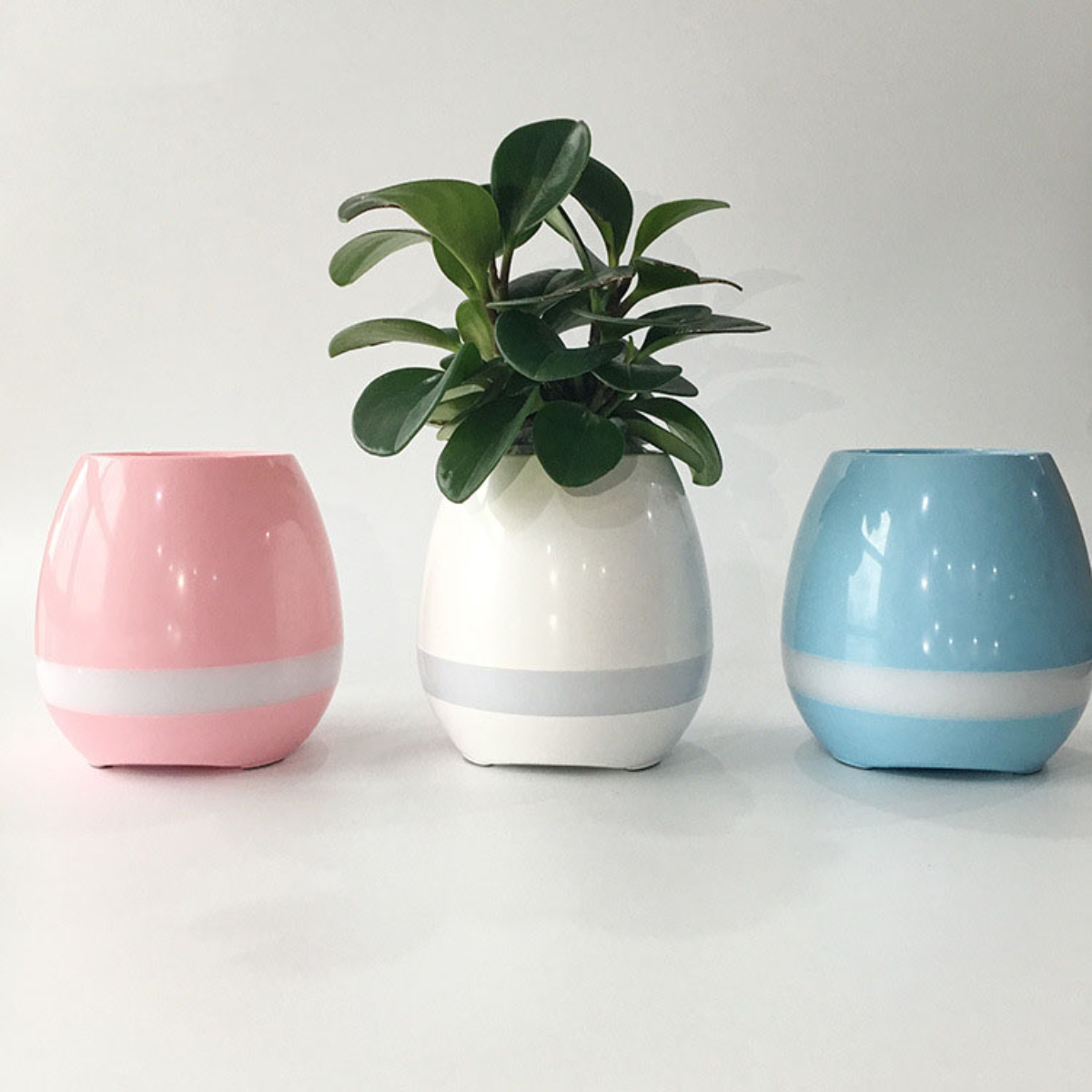 Drei Lautsprecher in Weiß, Rosa und Blau, mit einer Pflanze in der Mitte.