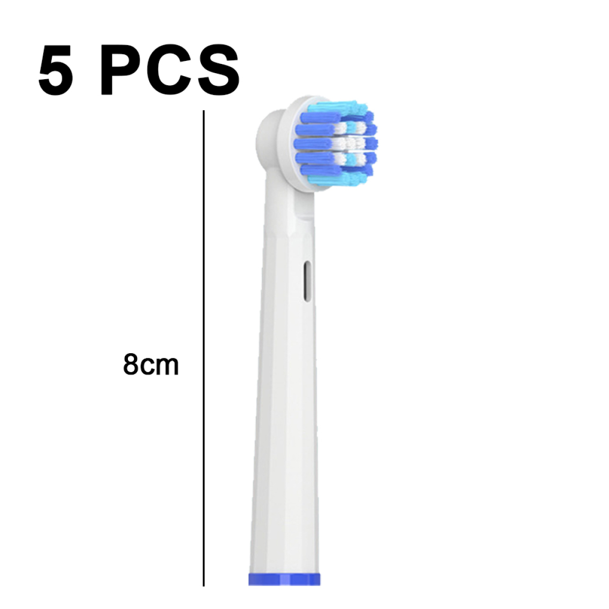 Weißer Zahnbürstenkopf mit blauen und weißen Borsten, und 8cm.