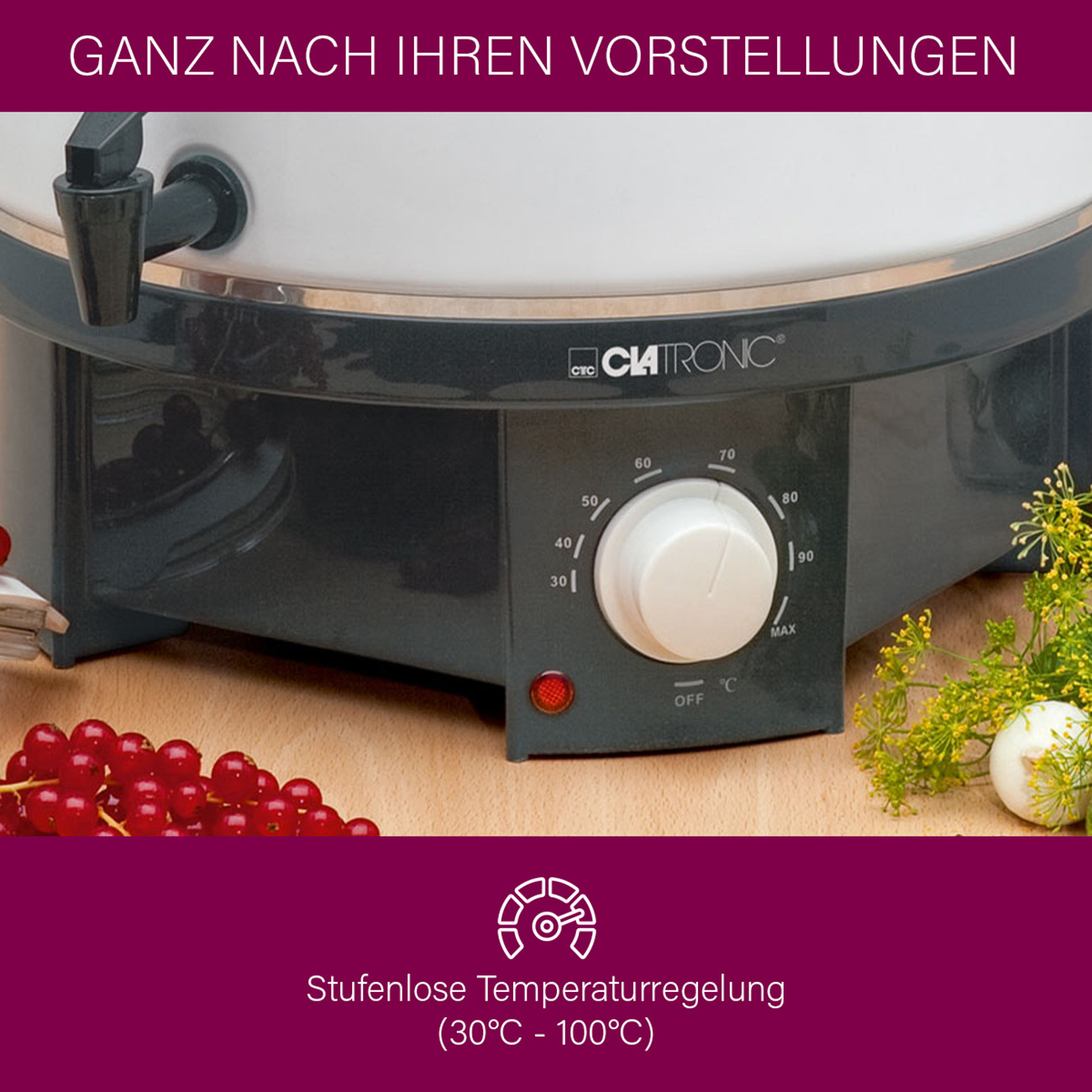 Ein Wasserkocher mit Bedienfeld und roten Beeren. Weißer Hintergrund.