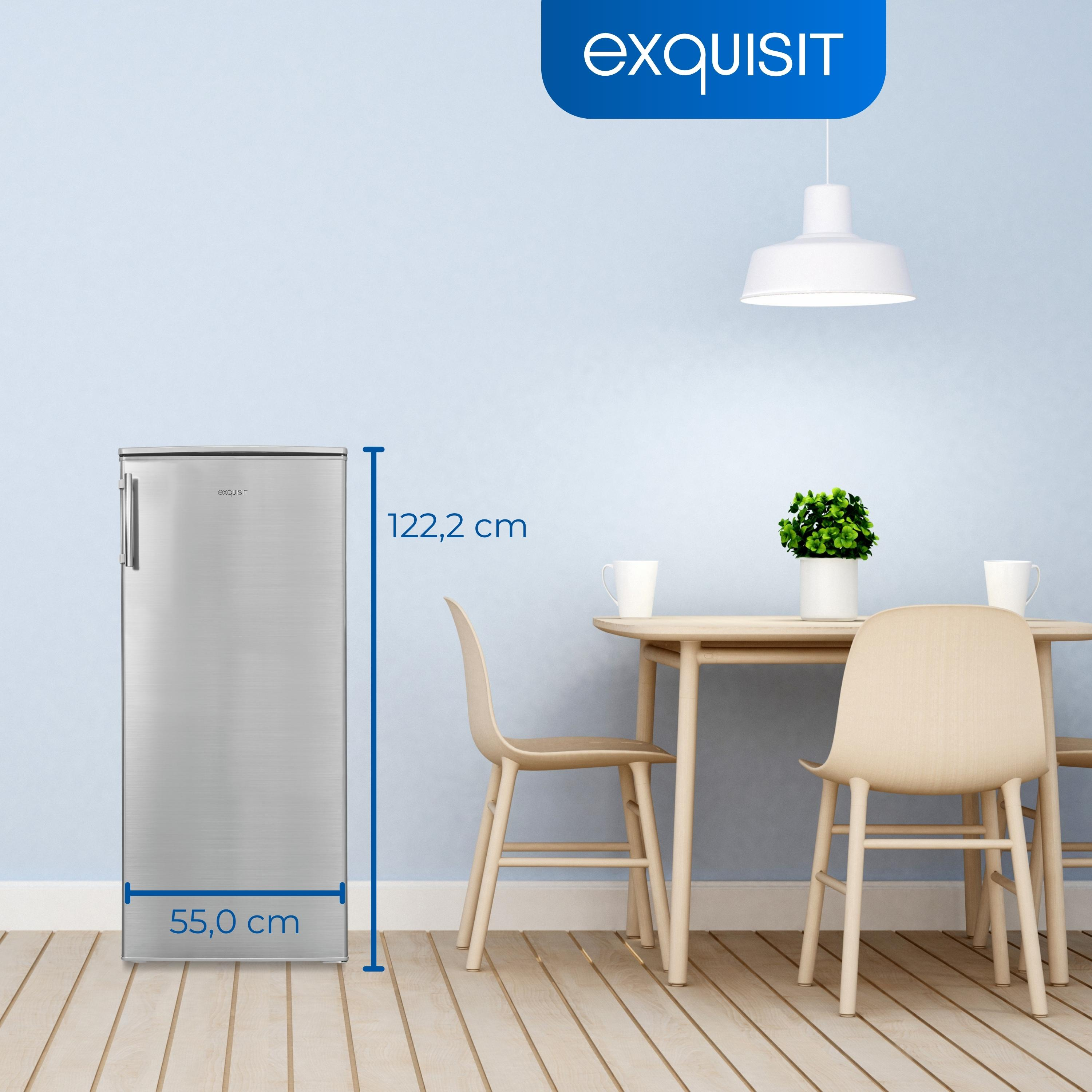 Ein Kühlschrank aus Edelstahl neben einem Esstisch in einem hellblauen Raum.