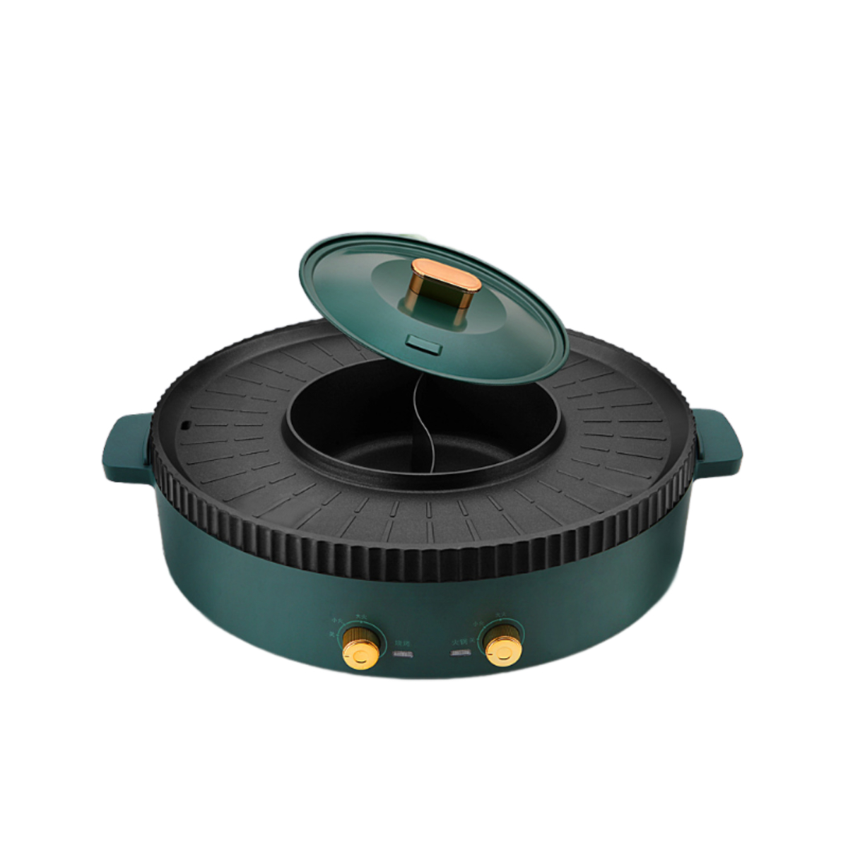 Ein grüner Elektrogrill mit offenem Deckel und zwei Bedienknöpfen.