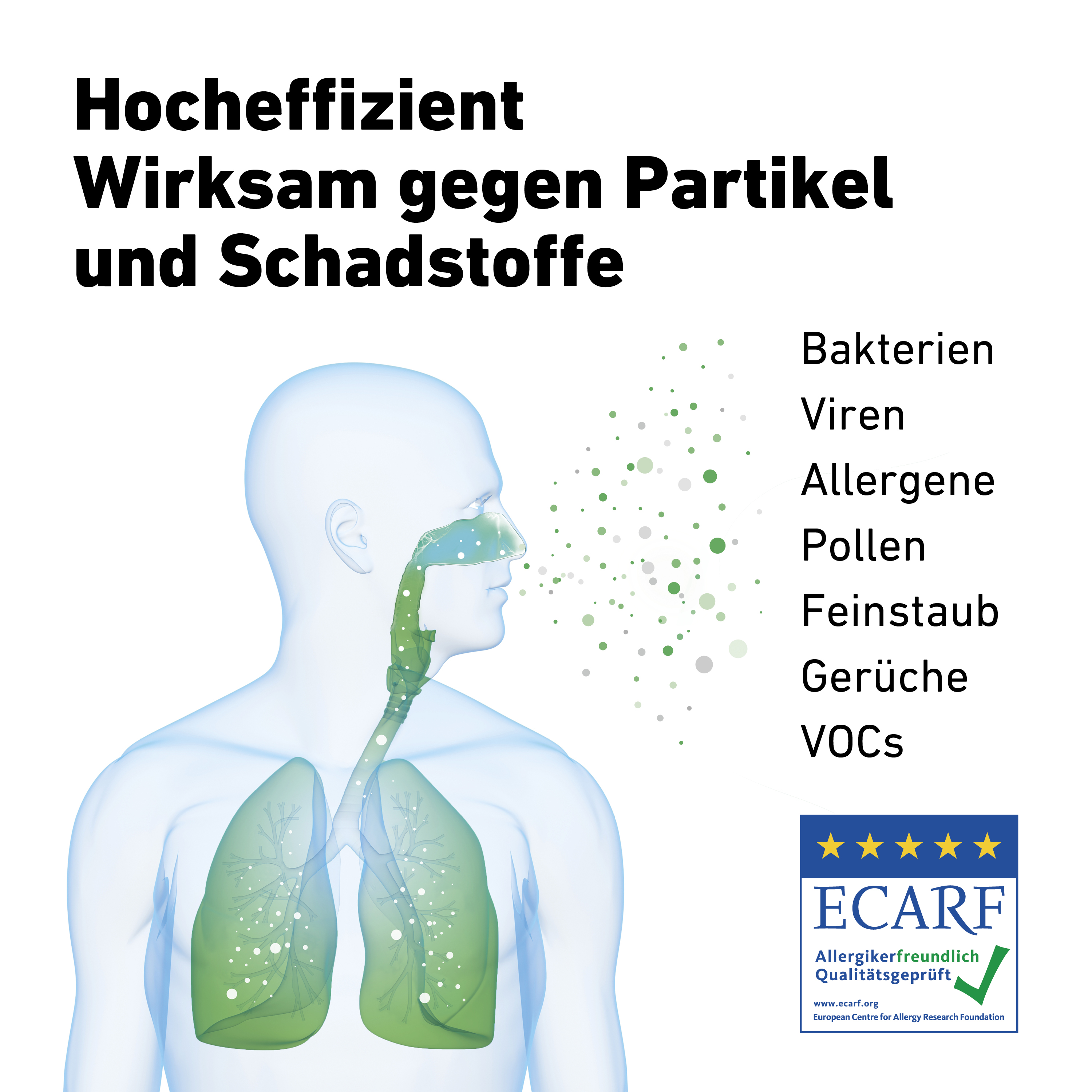 Illustration des Atmungssystems mit Text über Allergene und Partikel.