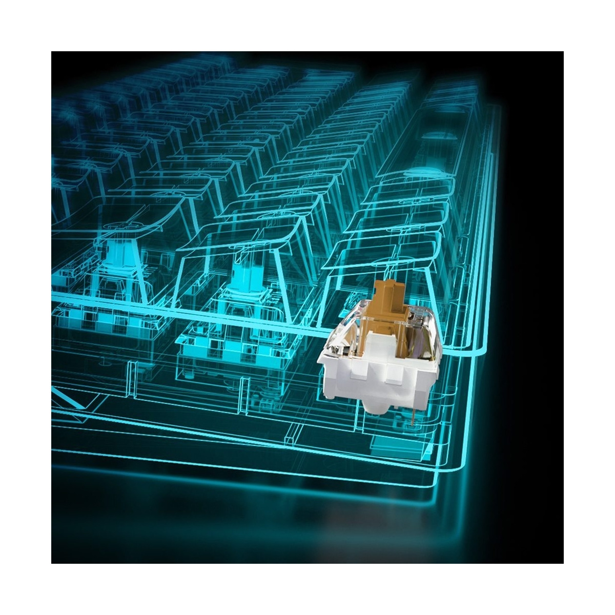 Widok rentgenowski przełącznika klawiatury. Przełącznik jest biały i brązowy, wewnątrz niebieskiej siatki.