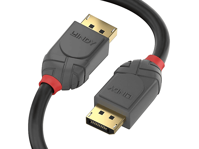 LINDY 36495 DisplayPort-Kabel 0,5 m Zwart