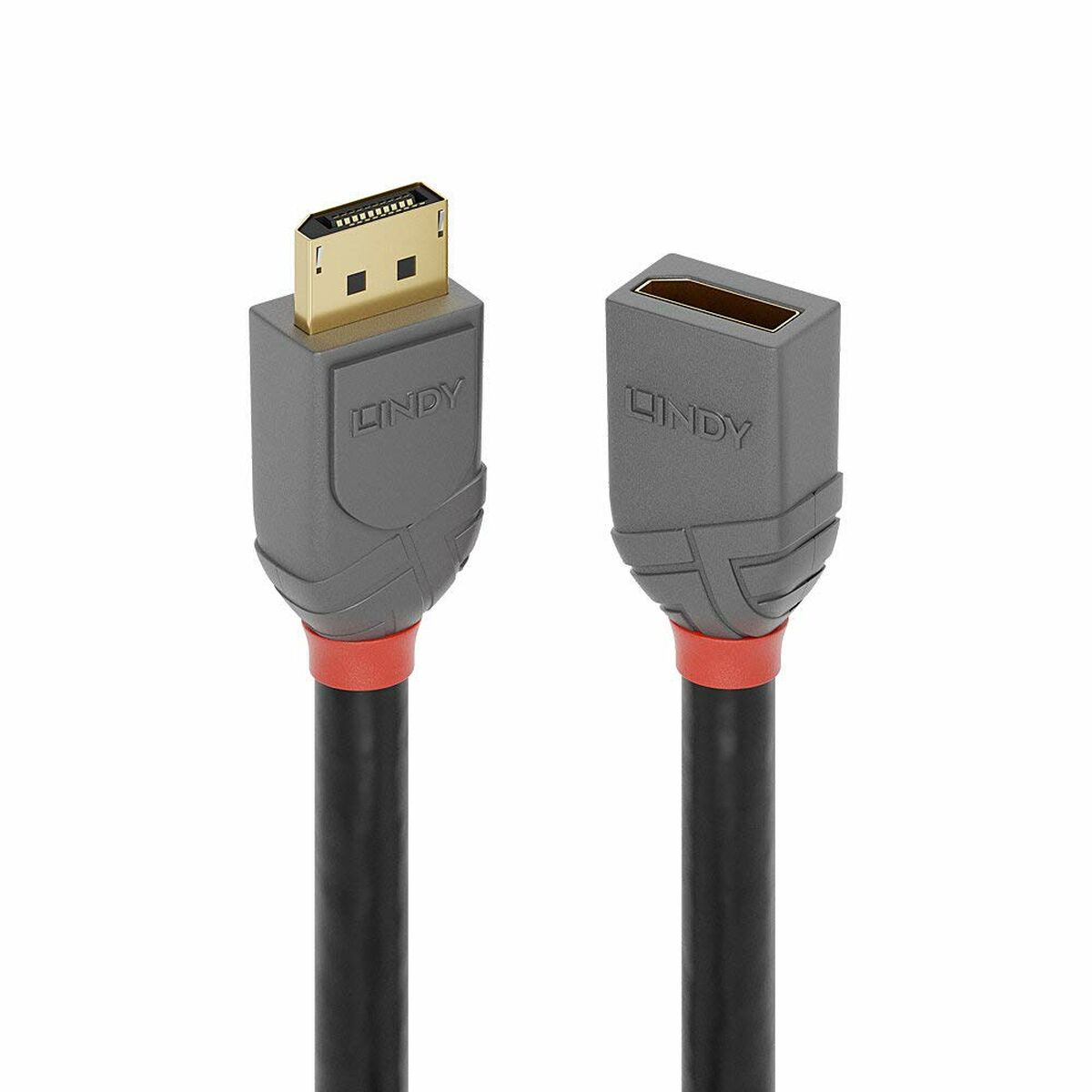 LINDY 36495 DisplayPort-Kabel, mehrfarbig