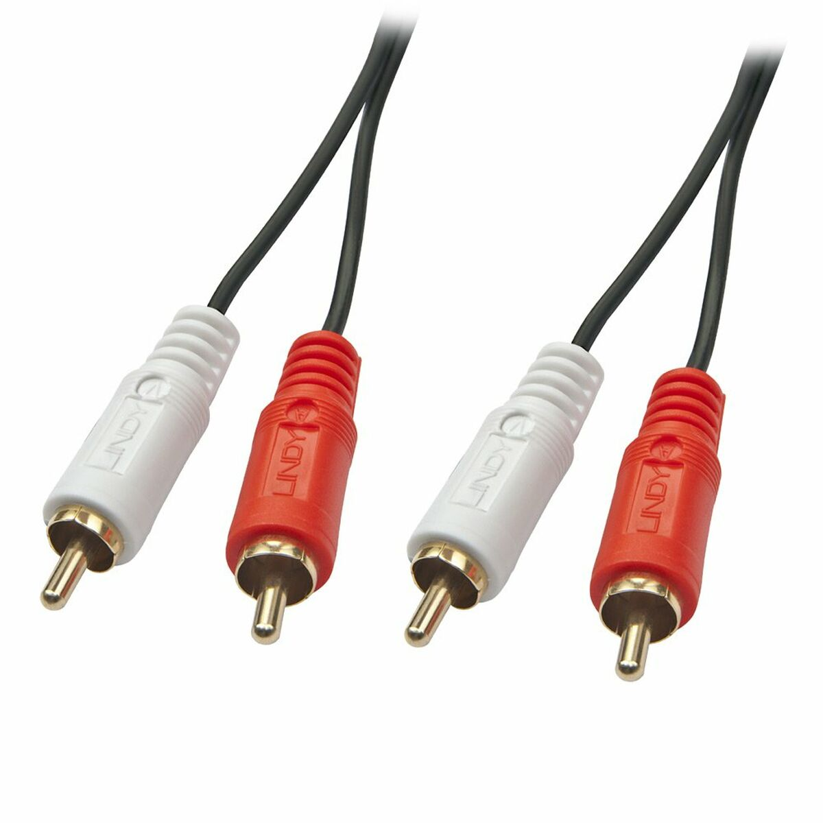 Due cavi audio RCA. Connettori bianchi e rossi con cavi neri.