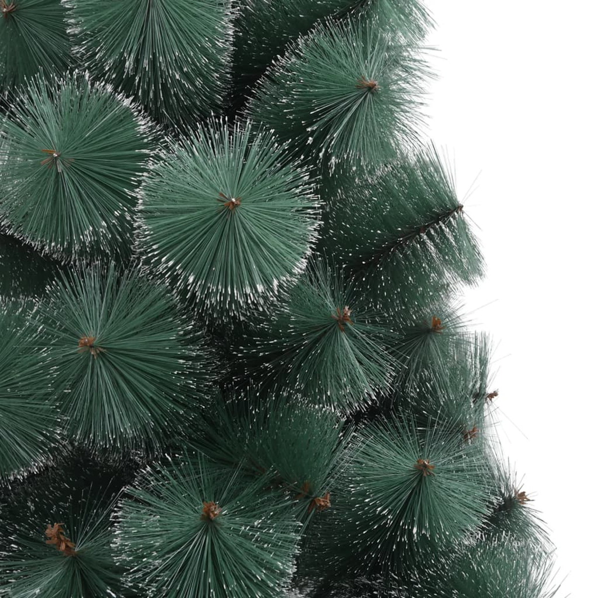 Nahaufnahme von grünen Weihnachtsbaumzweigen mit weißen Spitzen, auf Weiß.