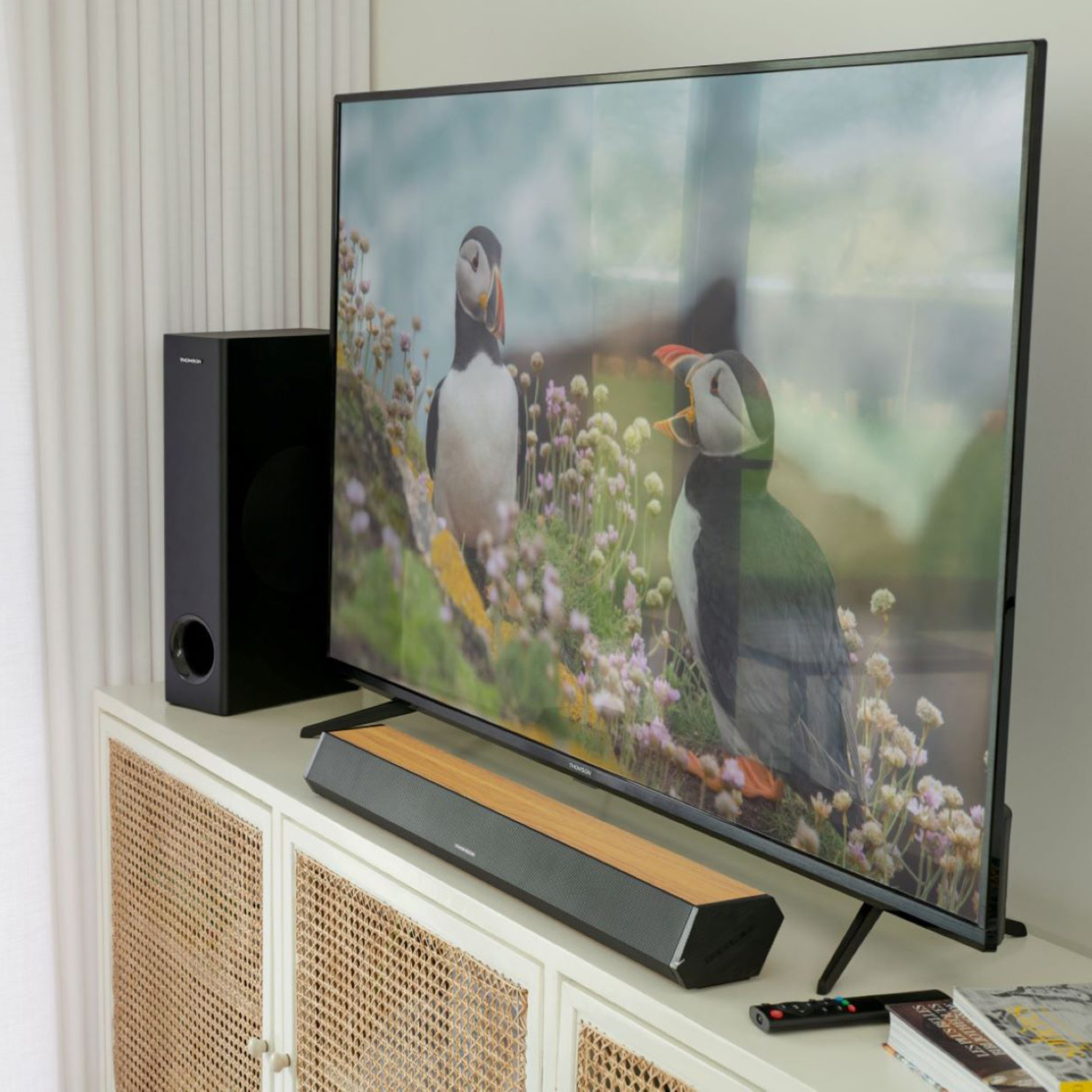 Schermo TV con pulcinelle di mare, con una soundbar e un subwoofer sottostanti. Sono presenti un mobile bianco e una tenda.