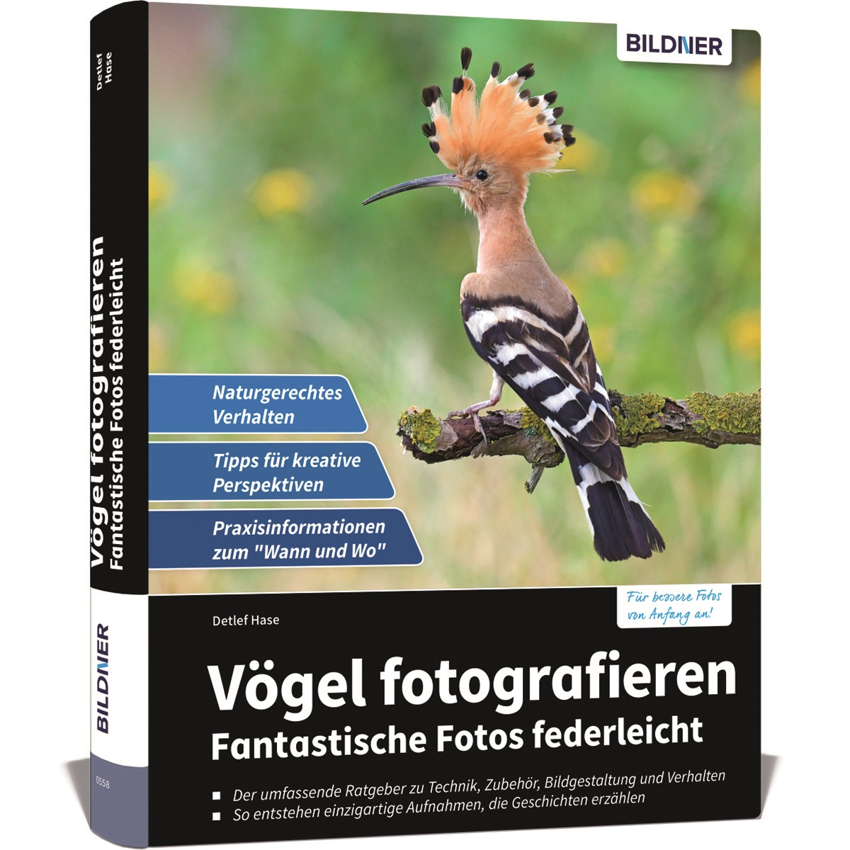 Vögel fotografieren - Fantastische Fotos federleicht