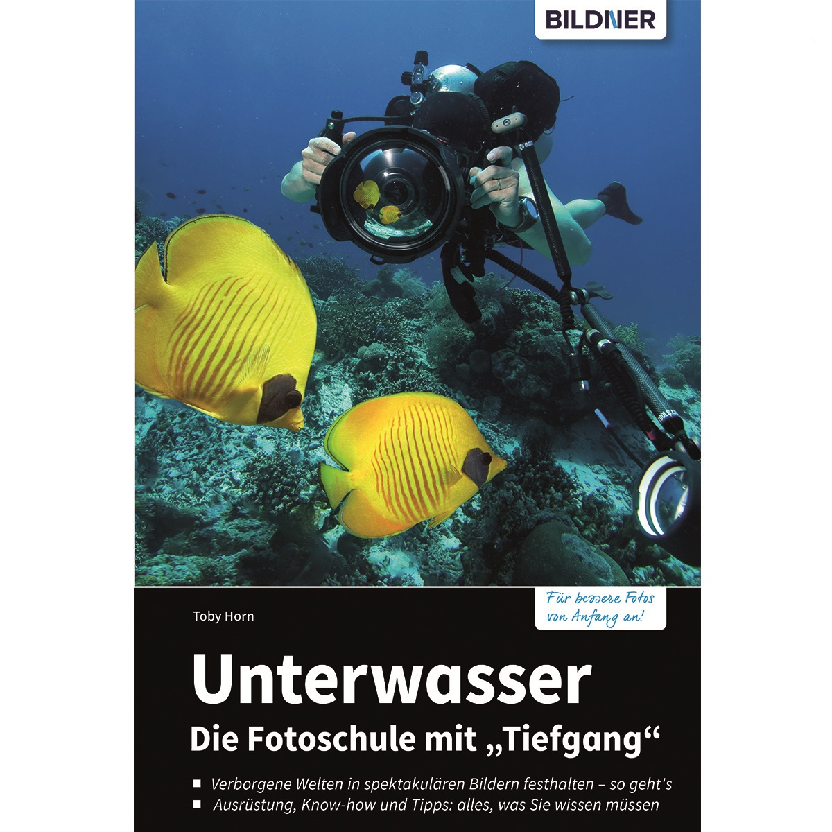 Buchcover mit Unterwasserfotografie mit gelben Fischen. Text auf Deutsch.