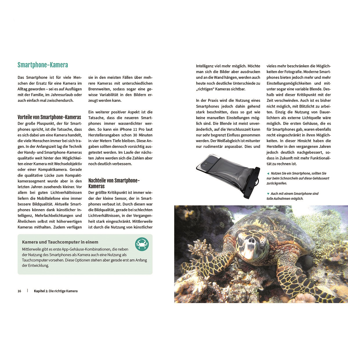 Eine Schildkröte im Wasser neben Text über Smartphone-Kameras und ihre Funktionen.