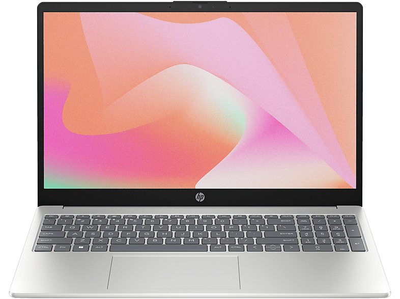 HP 15, fertig installiert und aktiviert, Office 2021 Pro, Notebook mit 15,6 Zoll Display, 64 GB RAM, 500 GB SSD, Silber