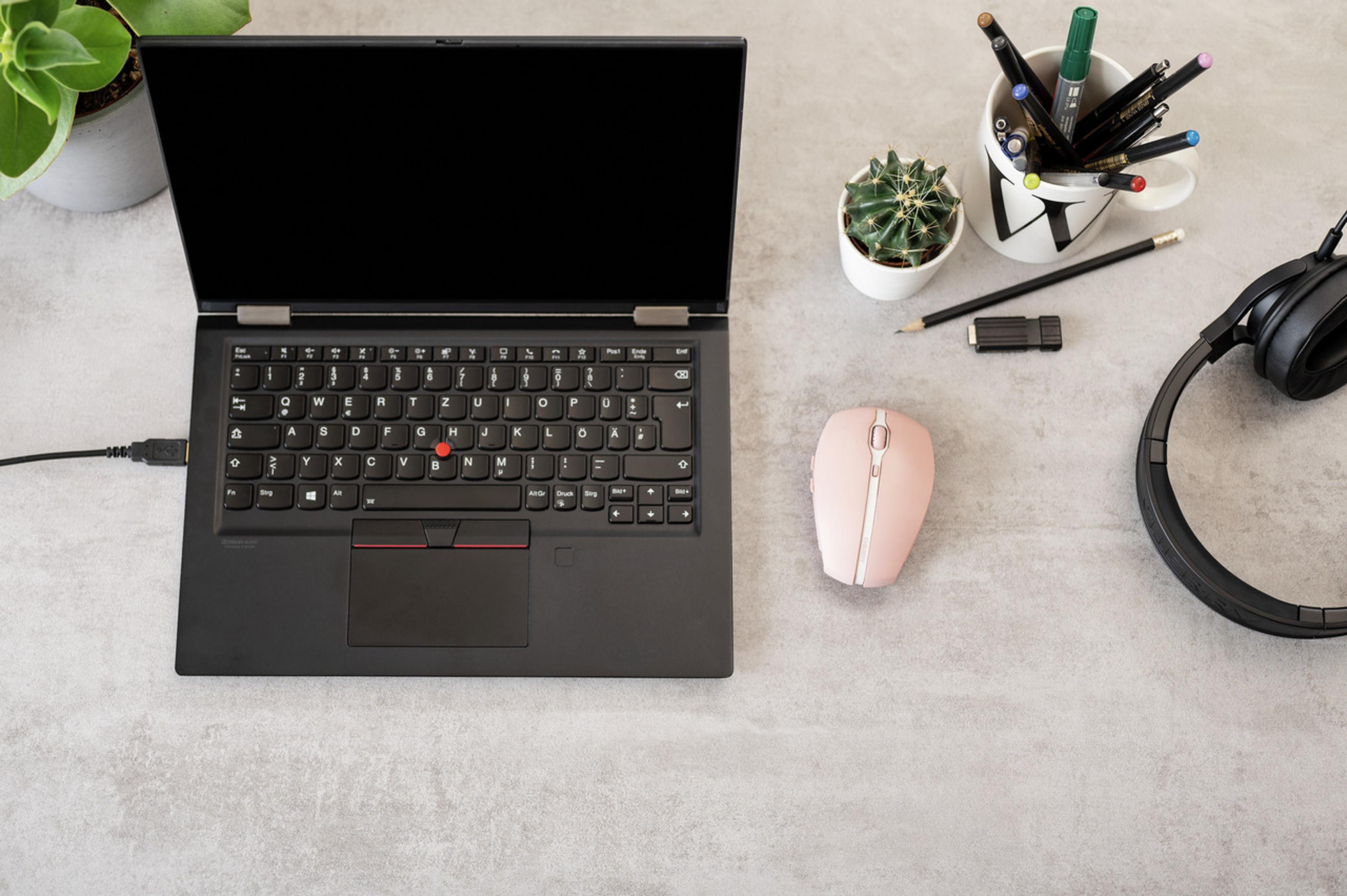 Laptop on a desk with accessories. Accessories include mouse, pens, cactus, and headphones.