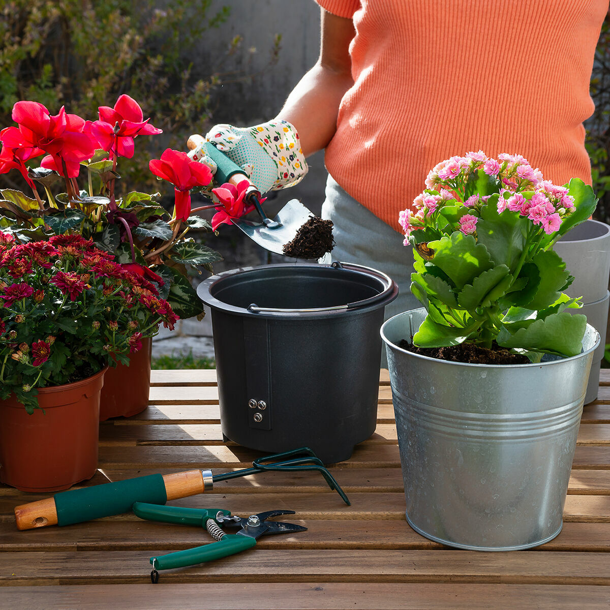 Persona plantando en maceta. Herramientas y flores en mesa de madera.