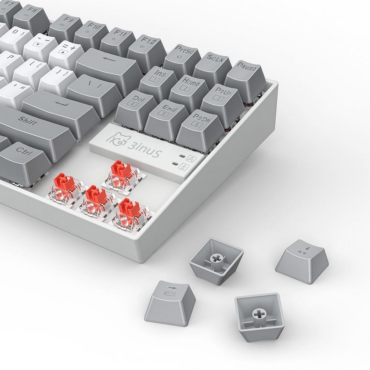 Tastatur mit grauen Tasten und roten Schaltern. Entfernte Tastenkappen und Anzeige der Schalter.