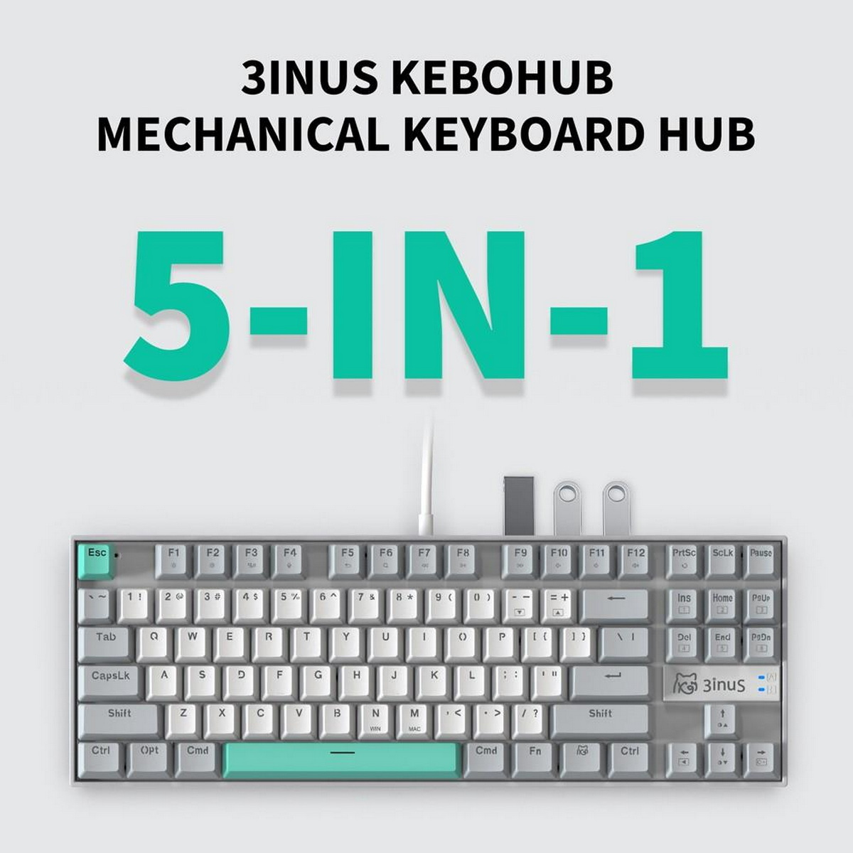 Mechanische Tastatur mit einem 5-in-1-Hub. Die Tastatur ist grau mit grüner Leertaste. Oben befinden sich mehrere Anschlüsse.