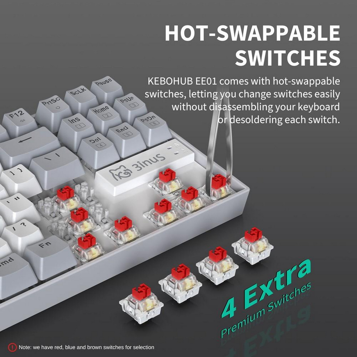 Nahaufnahme einer Tastatur mit roten Schaltern, die mit einer Pinzette installiert werden. Text: 'Hot-Swappable Switches'.