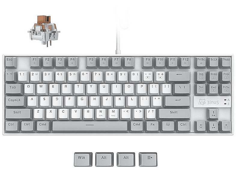 3INUS KEBOHUB braune Tastatur Schalter, Klickende EE01