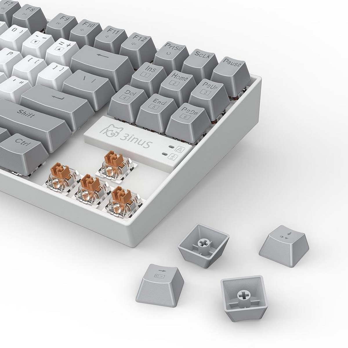 Tastatur mit entfernten Tasten. Grau-weißes Farbschema, mit braunen Schaltern.