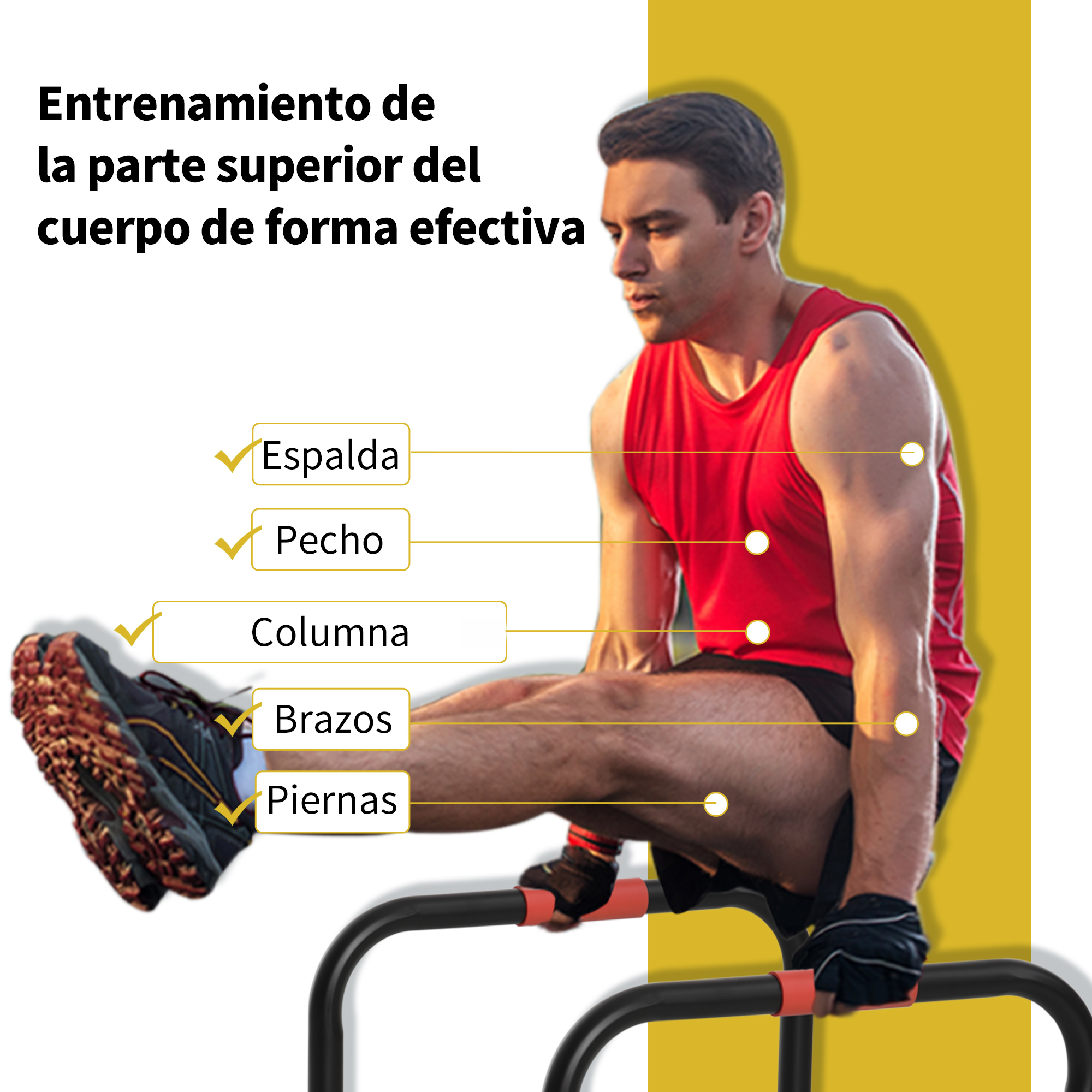 Hombre haciendo ejercicio gimnástico en barras paralelas, mostrando espalda, pecho, columna, brazos y piernas.
