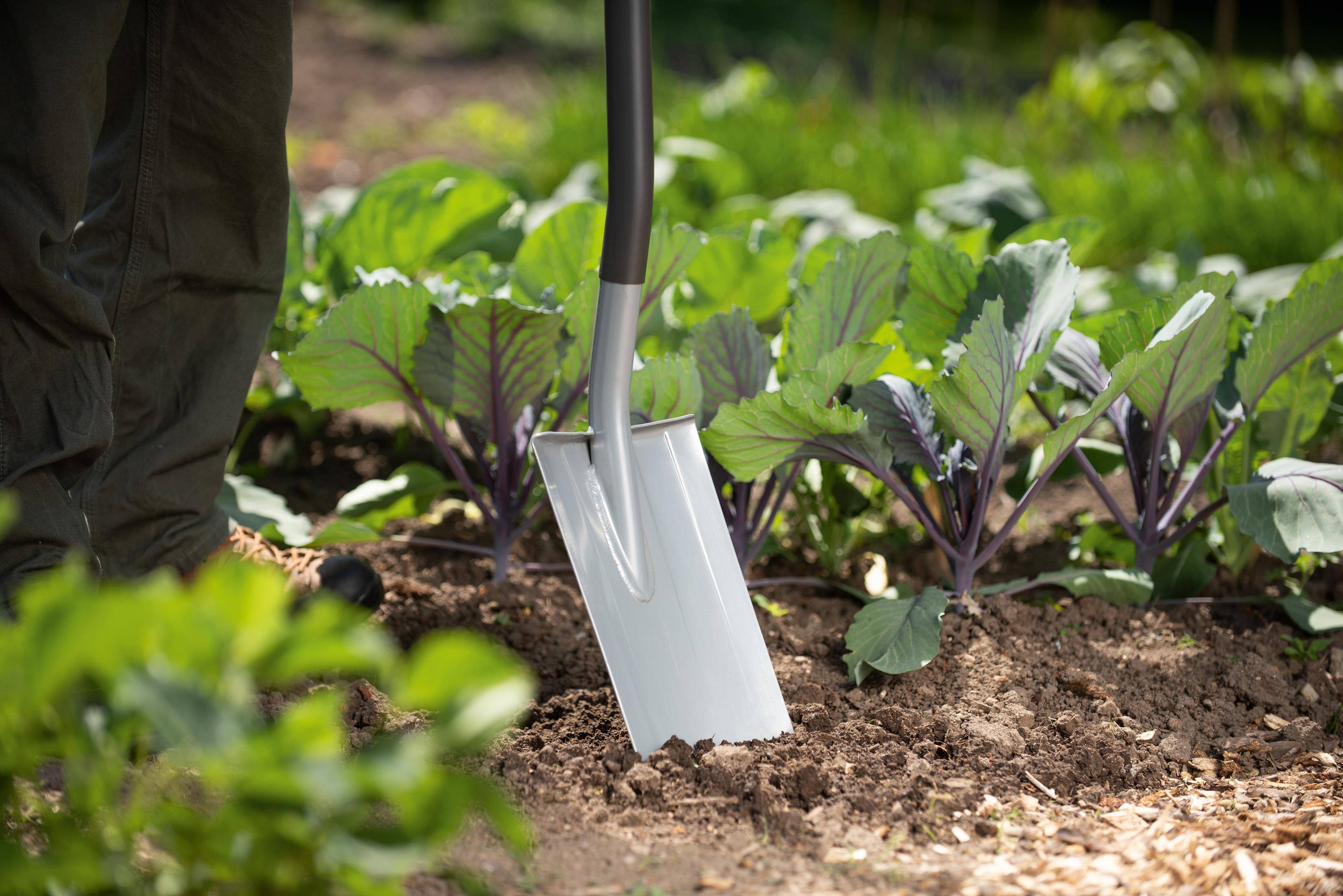 Gärtner mit Spaten in einem Gartenbeet, umgeben von Pflanzen und Erde.
